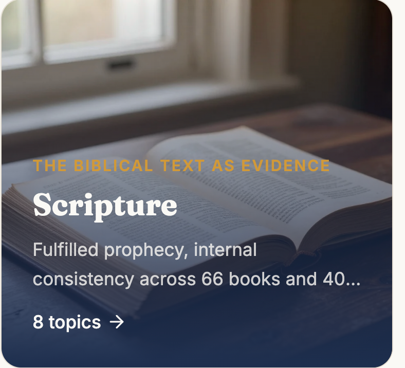 the-scripture-image-box