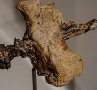 Jehohanan-Heel-Bone