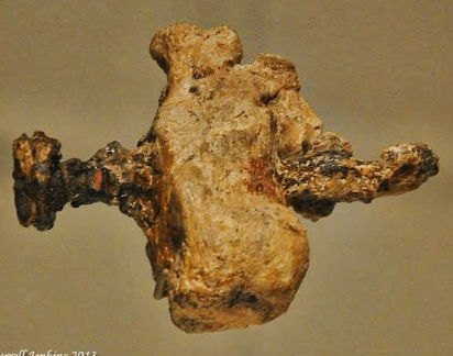 Yehohanan Heel Bone - Dr. Nico Haas